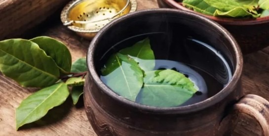 Santé: Découvrez les bienfaits de la tisane de feuilles de laurier