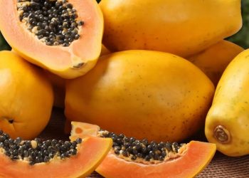 Papaye: Découvrez les bienfaits de ce fruit pour la santé