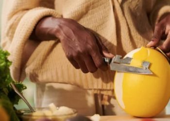 05 bienfaits du melon sur votre santé