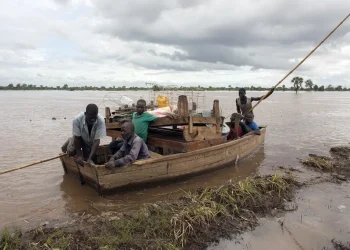 Malawi : Une collision entre 1 bateau et 1 hippopotame fait d’énormes dégâts